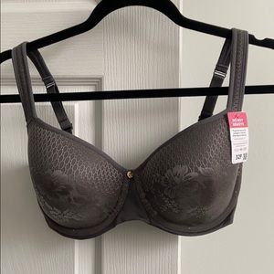 32F Bra